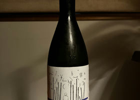 alt 1