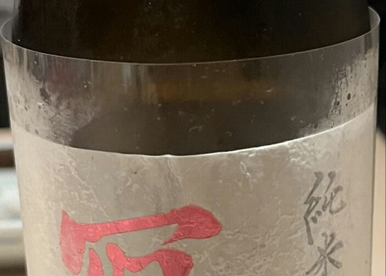 alt 1
