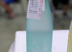 alt 1