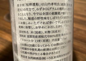alt 3
