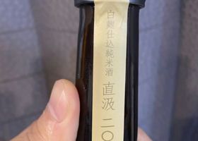alt 3