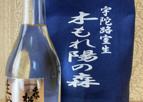 alt 2