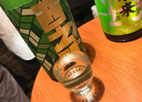 alt 1