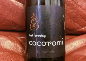 中善 cocoromi チェックイン 3