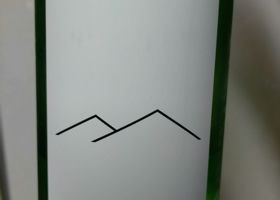 alt 1