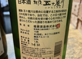 alt 3