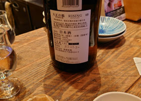 alt 3