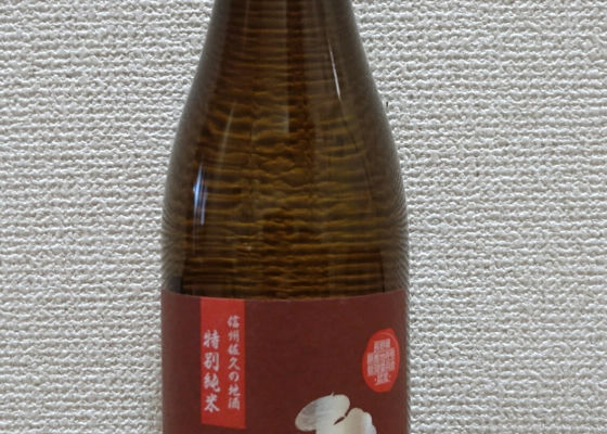 alt 1