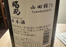 alt 3