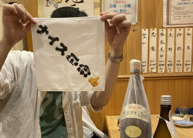 alt 3