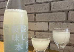 alt 1