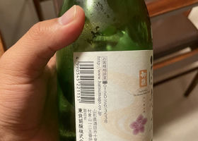 酔恋花 签到 2