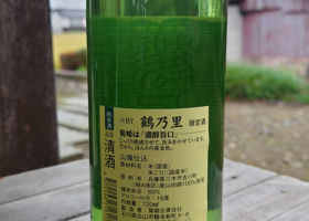 alt 2