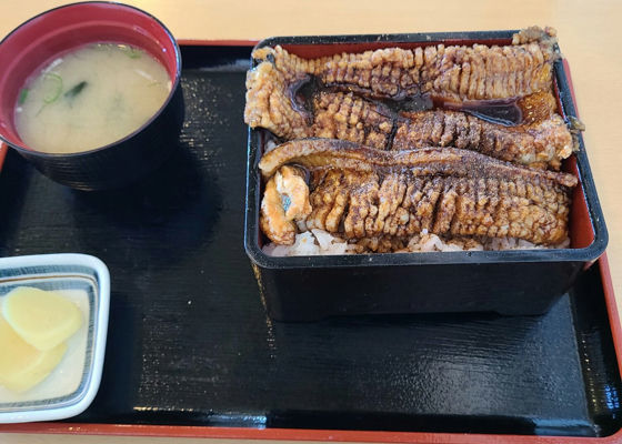 仙禽