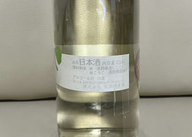alt 3