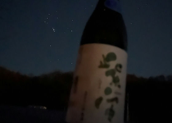 紫宙