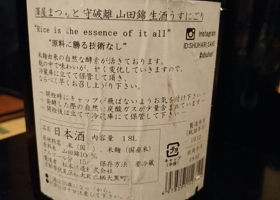 alt 3