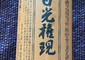 alt 4
