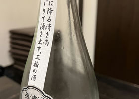 alt 3