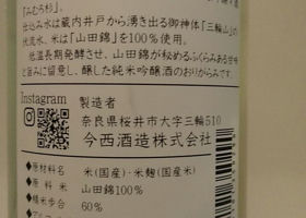 alt 3