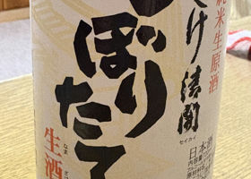 alt 1
