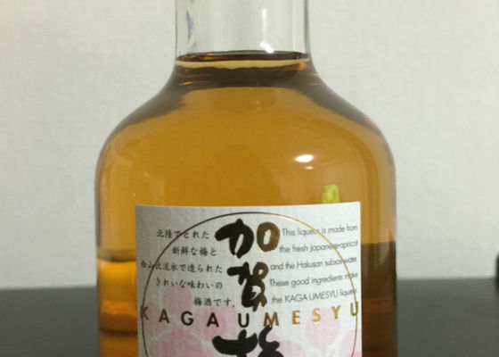 加賀梅酒 チェックイン 1