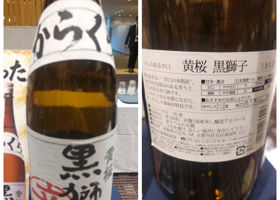 黄桜 チェックイン 3