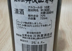 alt 2