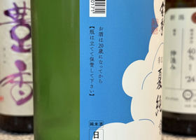 alt 3