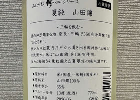 alt 3