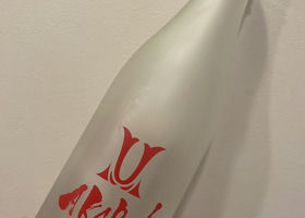 alt 1