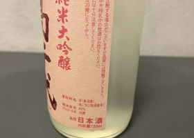alt 3