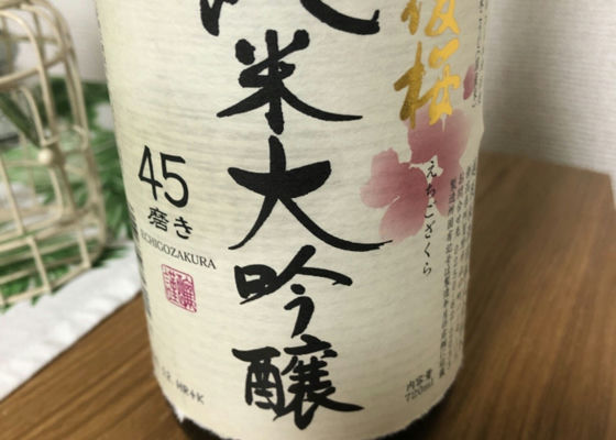 越後桜 チェックイン 1