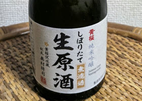 alt 1