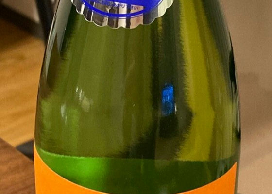 alt 1