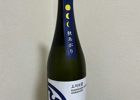 alt 3