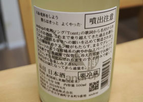 alt 2
