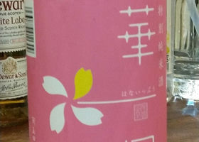 alt 2