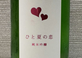 alt 1