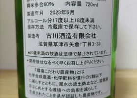 alt 3