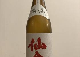 alt 1