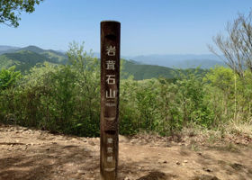 alt 3