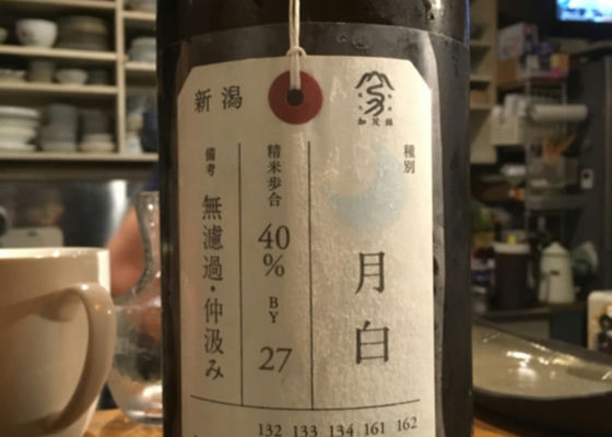 加茂錦 チェックイン 1