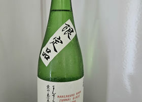 alt 1