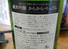 alt 4