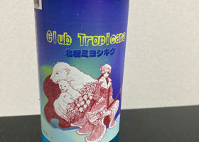 alt 3