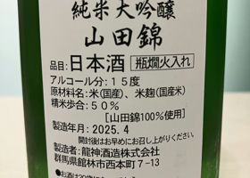 alt 3