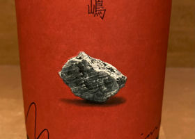 alt 1
