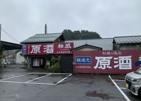 alt 4