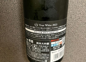 alt 3